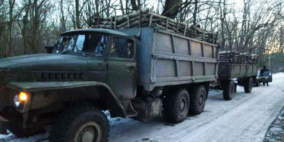 Водії вантажівок не змогли пояснити копам, звідки в причепах взялась деревина