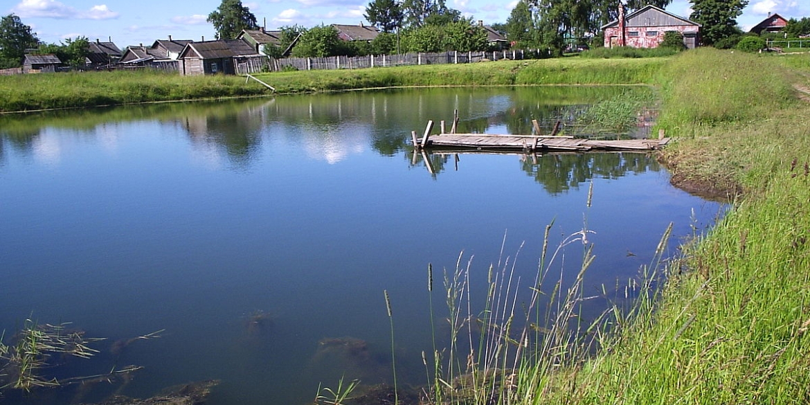 У Вінницькому районі із незаконного володіння повернуто землі водного фонду