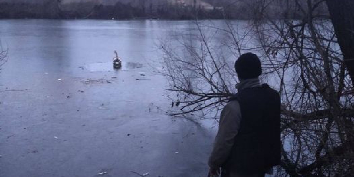 У селі під Гайсином вмерзає в кригу лебідь - люди просять по допомогу