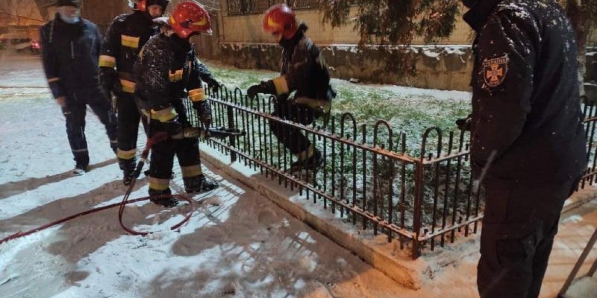 Бійці ДСНС врятували пса, який потрапив у "пастку" залізного паркану