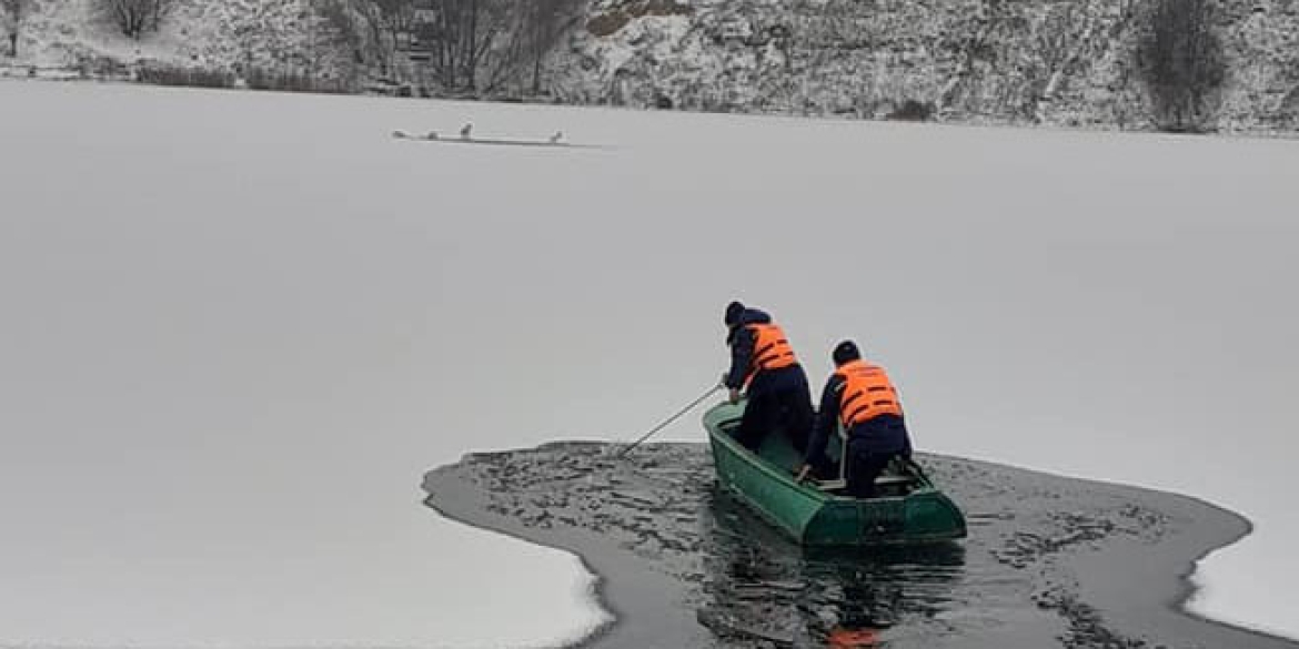 Рятувальників із Гнівані викликали, щоб допомогли “примерзлим лебедям”