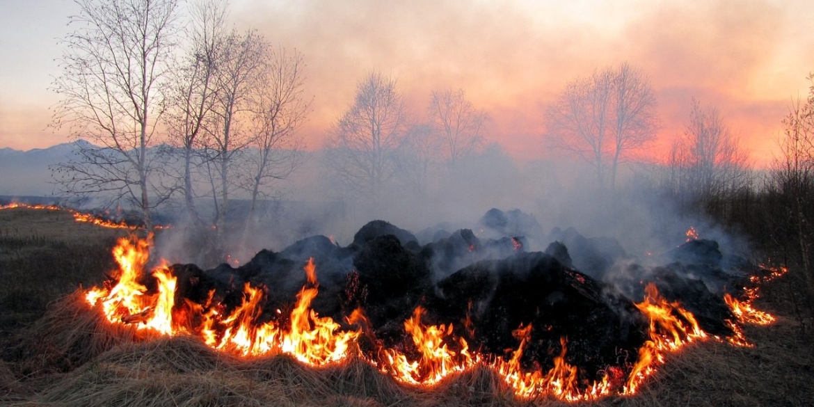 За добу на Вінниччині ліквідували 12 пожеж в екосистемах