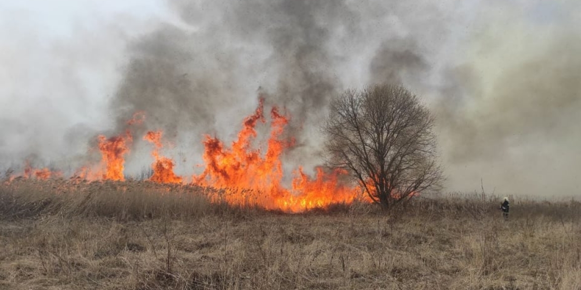 На Вінниччині рятувальники за добу 14 разів гасили пожежі в екосистемах