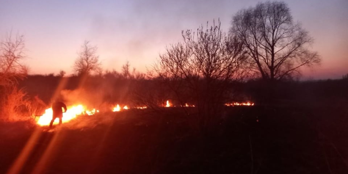 На Вінниччині знову горять сухостої та трава