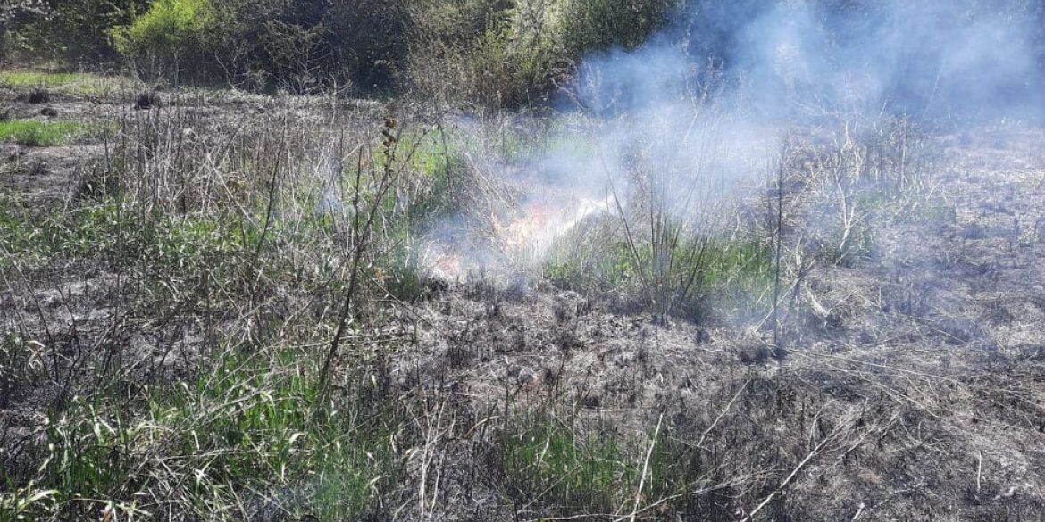 На Вінниччині за добу вигорів гектар сухої трави