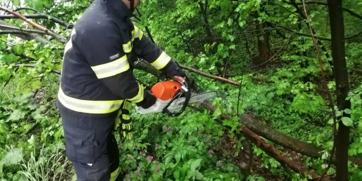 У Вінницькому районі дерево, яке впало на дорогу, перекрило рух транспорту