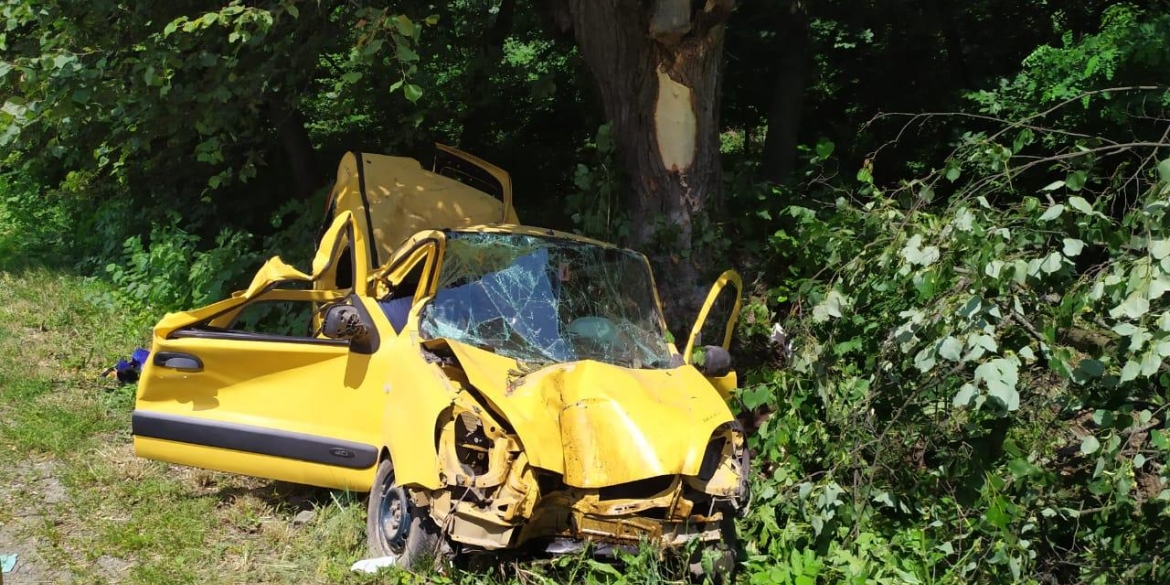 Неподалік Никифорівців водій Renault Kangoo протаранив дерево: четверо людей у реанімації