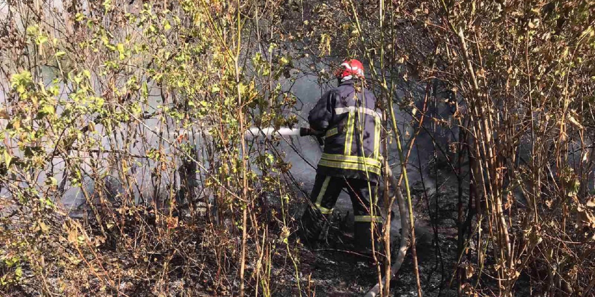 22 гектари сухостою вигоріло в області за одну добу