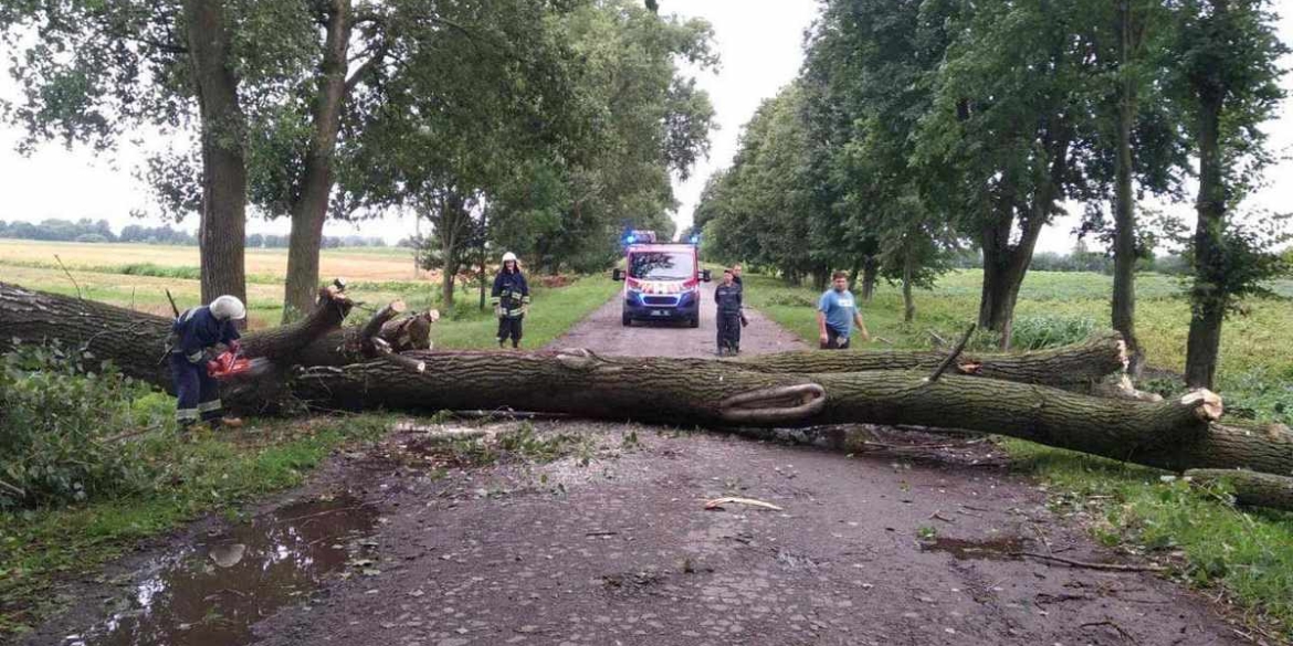 Негода на Вінниччині: рятувальники за ніч прибрали з доріг десятки повалених дерев