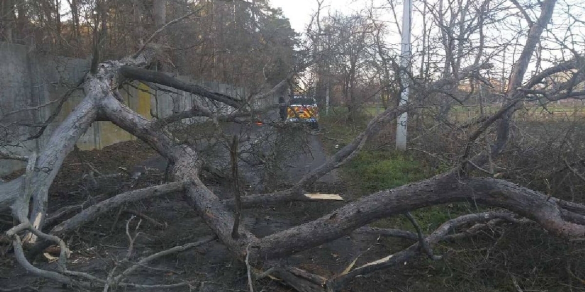 На Вінниччині рятувальники прибрали повалені вітром дерева з автошляхів.