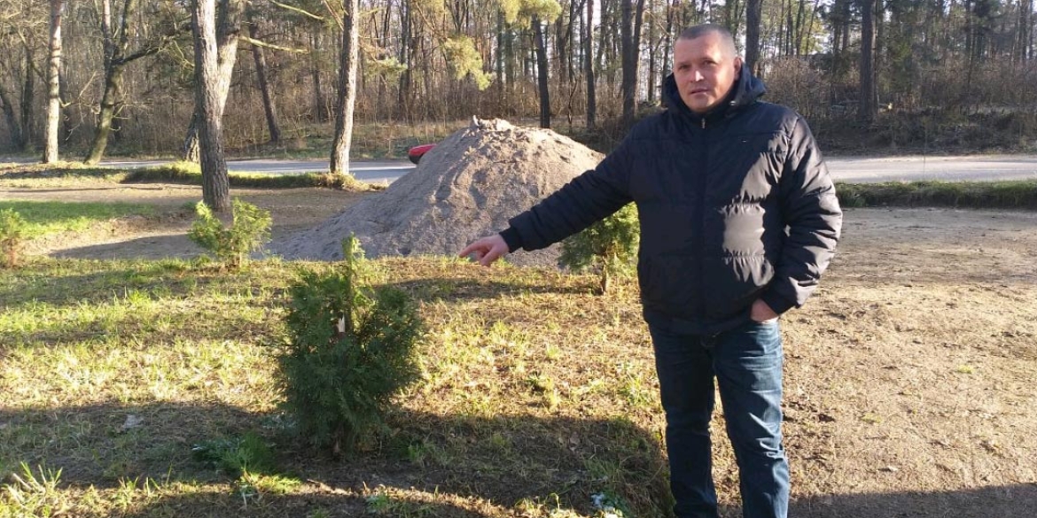 У Хмільнику невідомі вирубали майже два десятки туй: тим, хто допоможе знайти вандалів, обіцяють 5 тис. грн