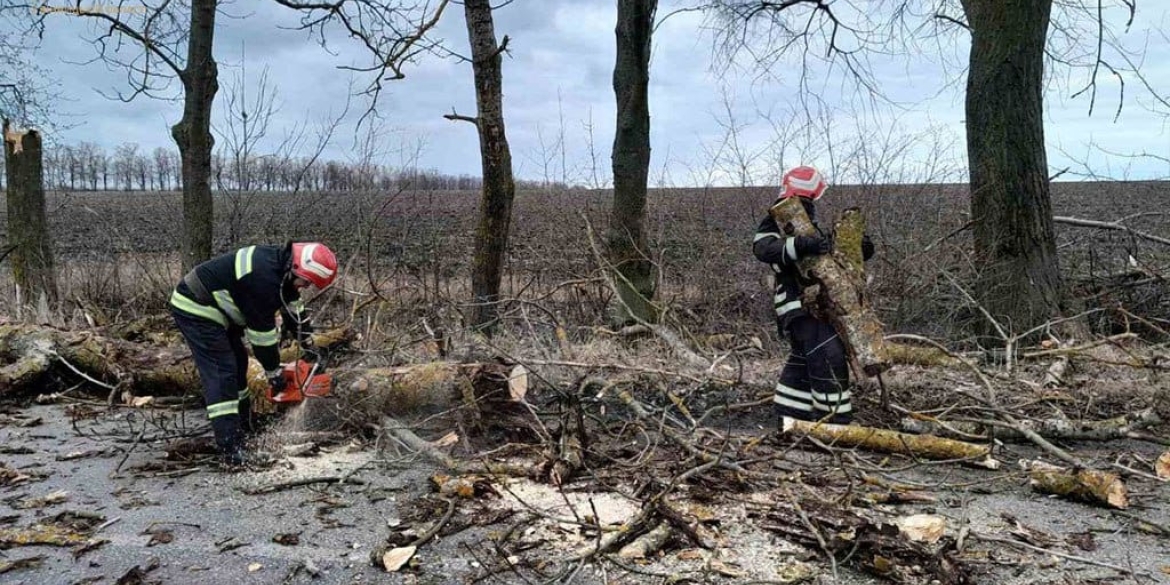 18 лютого на Вінниччині через сильний вітер на дороги попадали дерева