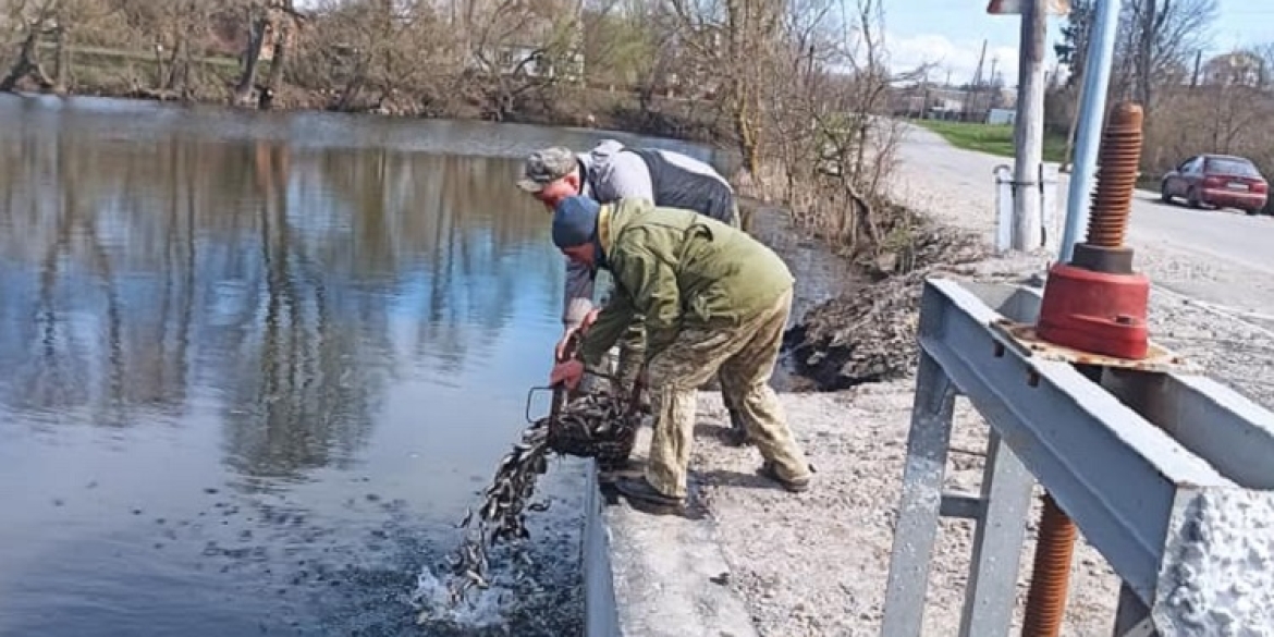 Мешканці Дружелюбівки зарибили центральний ставок