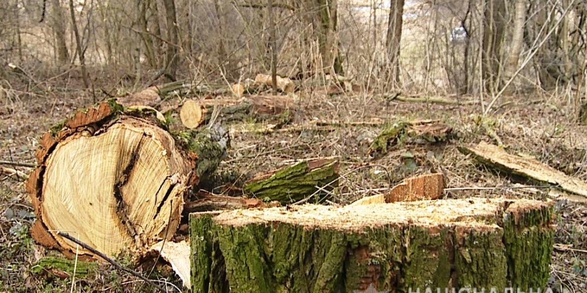 На Вінниччині затримали "чорних лісорубів", в яких виявили гранату та наркотики