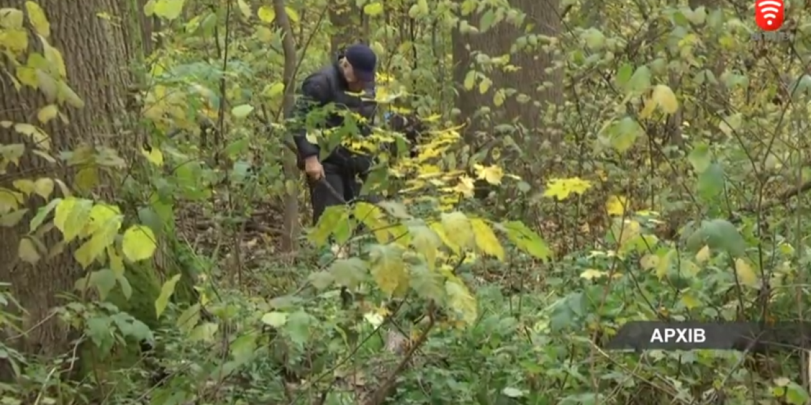 6 випадків отруєння грибами зареєстрували на Вінниччині