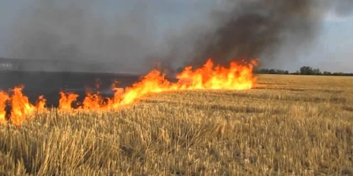 На Вінниччині через необережність з вогнем вигоріло більше 3 га  стерні