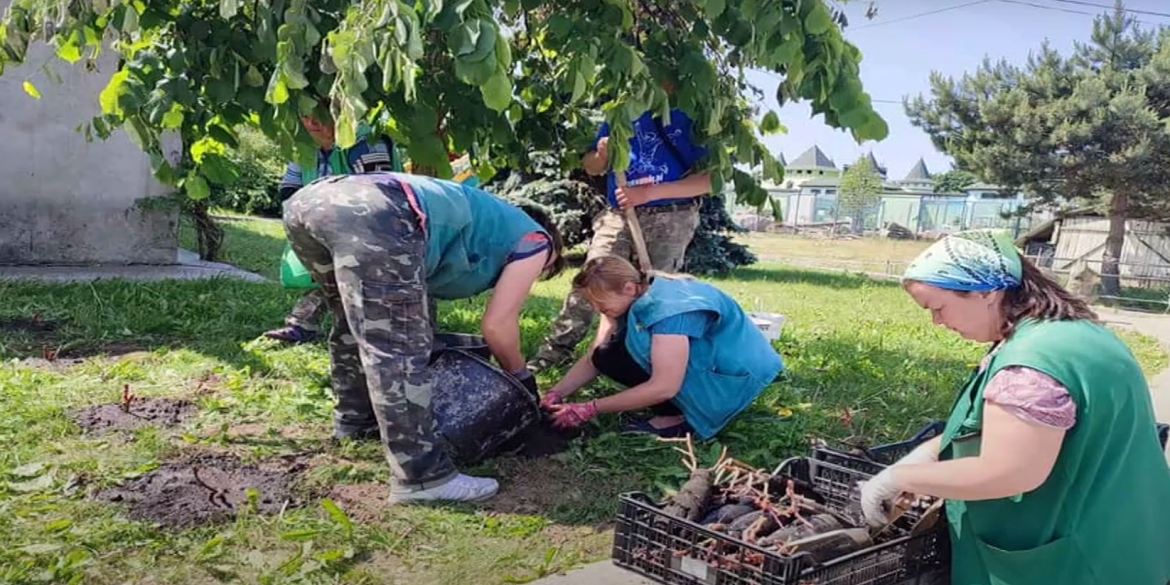 Благодійна ініціатива: Подільський зоопарк прикрасили трояндами