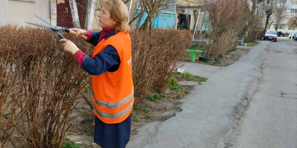 У Вінниці до середини квітня триватиме обрізка гілля 