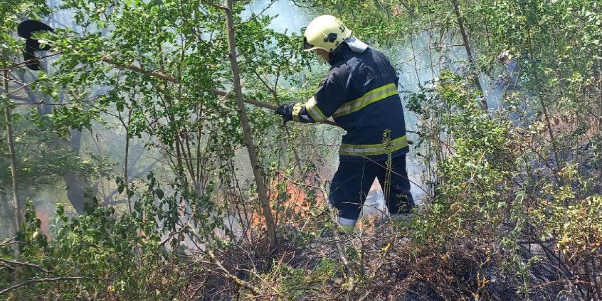 Чотири пожежі на відкритих територіях сталися на Вінниччині