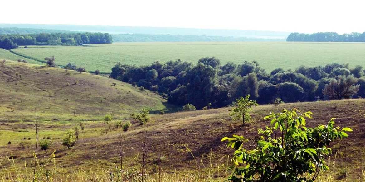 У Жмеринському районі зупинили незаконну приватизацію