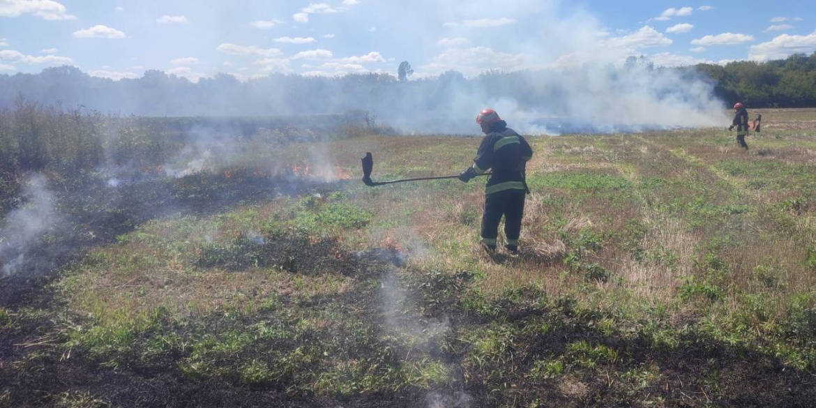 Горіло майже у всіх районах області та Вінниці - рятувальники отримали дев’ять викликів