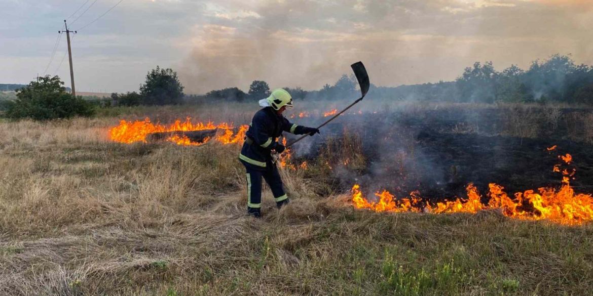 Горіло у всіх районах області та Вінниці — вогонь обпалив понад 23 га ґрунту