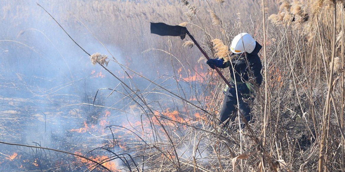 Неподалік Вінниці горіла суха трава