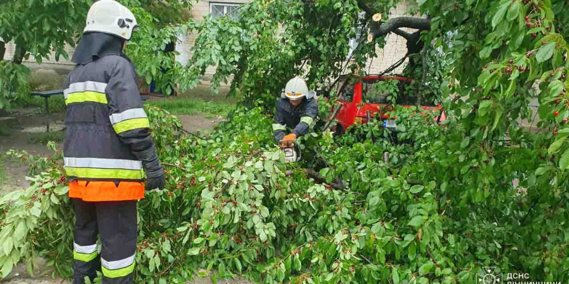 У Крижополі вітер повалив дерево на легковий автомобіль