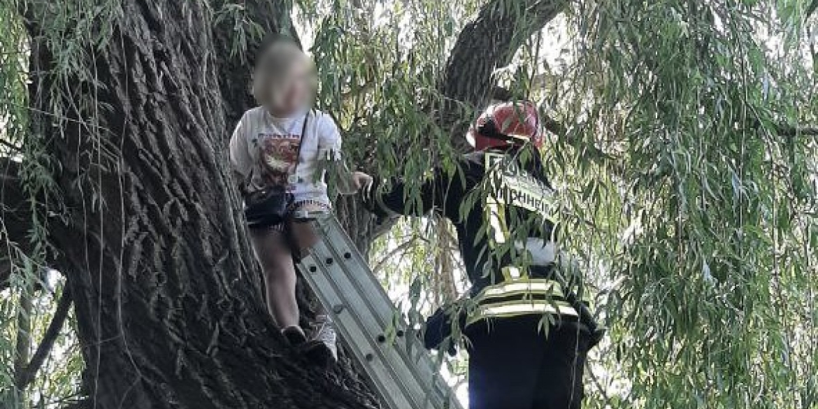 У Вінниці дівчинка залізла на дерево, а спуститись не змогла — викликали рятувальників