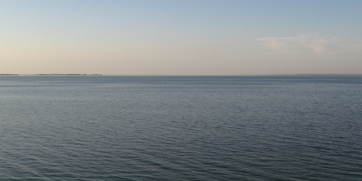 У Ладижинське водосховище в Степашках випустили більше трьох тисяч кілограм риби