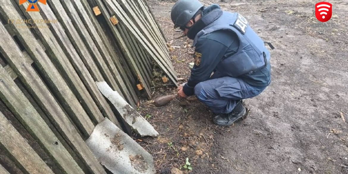 Міну часів Другої Світової Війни знешкодили на Вінниччині