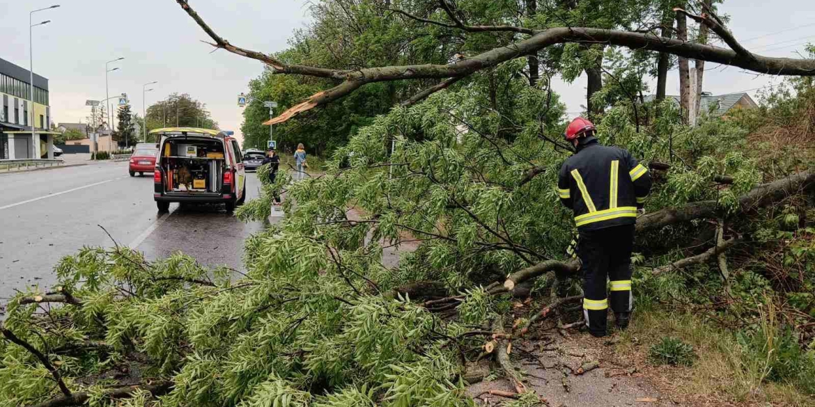 На Вінниччині рятувальники прибирали повалені вітром дерева