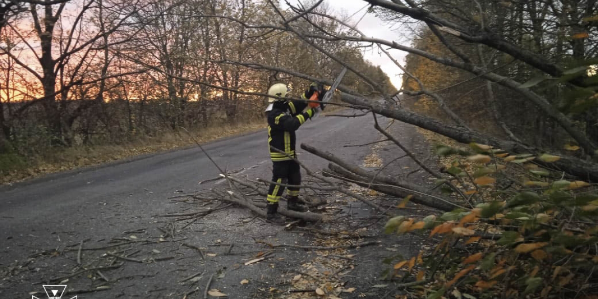 На Вінниччині сильний вітер повалив дерева на дороги та автомобілі