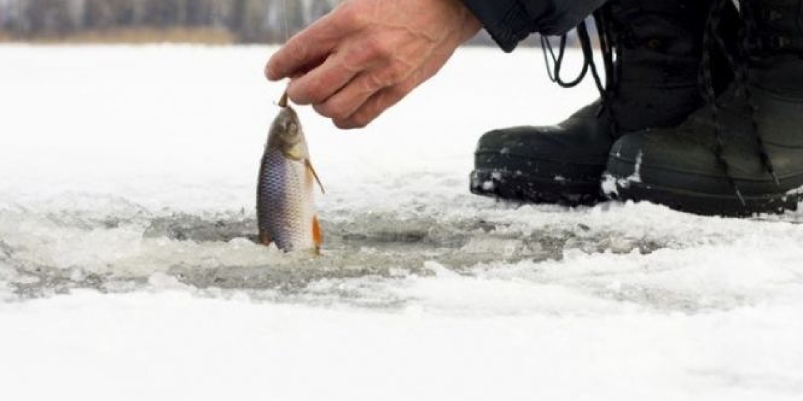 На Вінниччині спіймали рибалок, які порушили правила риболовлі