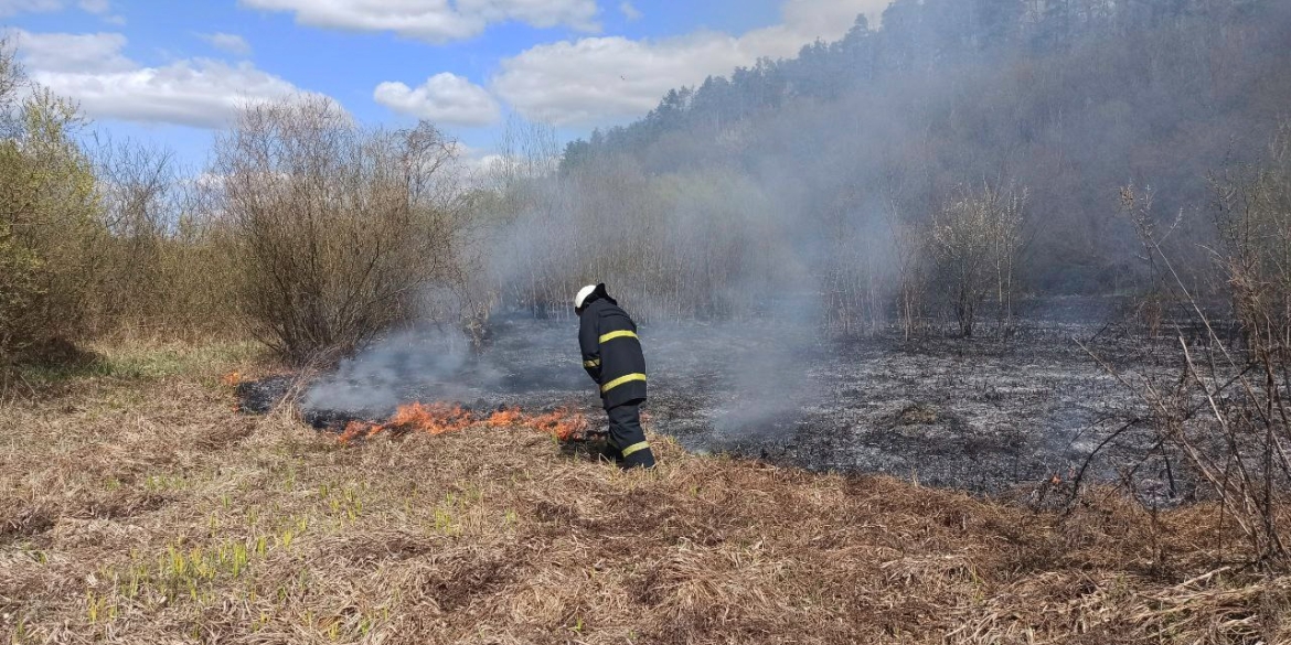 За добу на Вінниччині вигоріло понад три гектари землі через паліїв трави