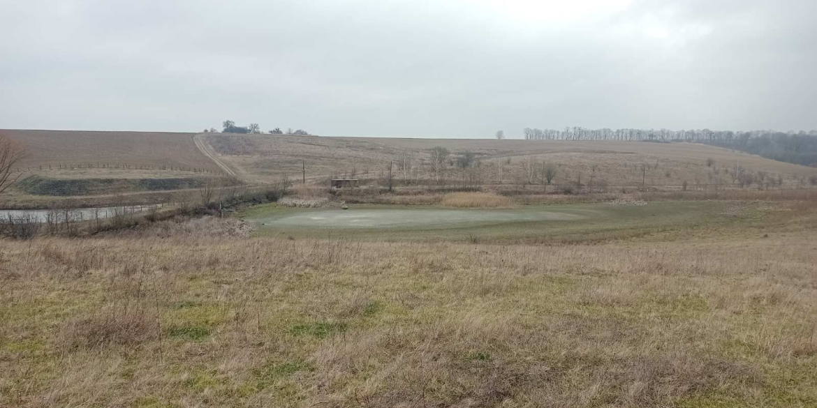 На Вінниччині використовували воду для риборозведення без відповідного дозволу