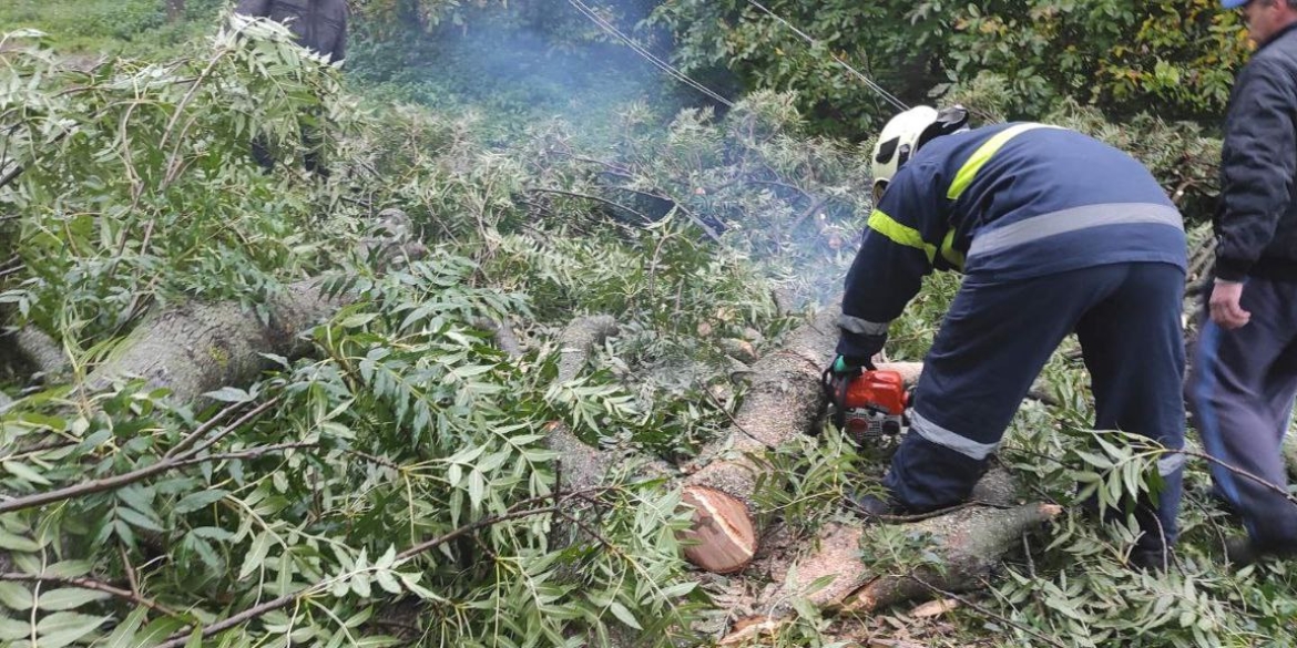 На Вінниччині вирувала негода: вітер повалив десятки дерев