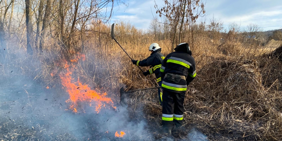 На Вінниччині горіли екосистеми в усіх районах області на площі понад 25 гектарів