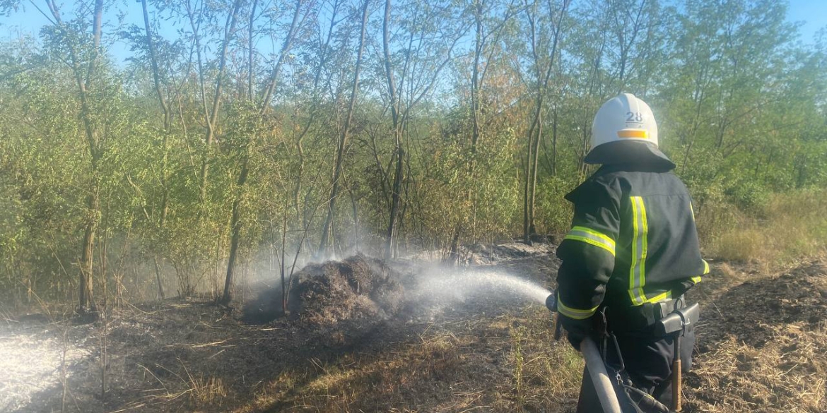 На Вінниччині полум’я охопило територію на площі двох гектарів