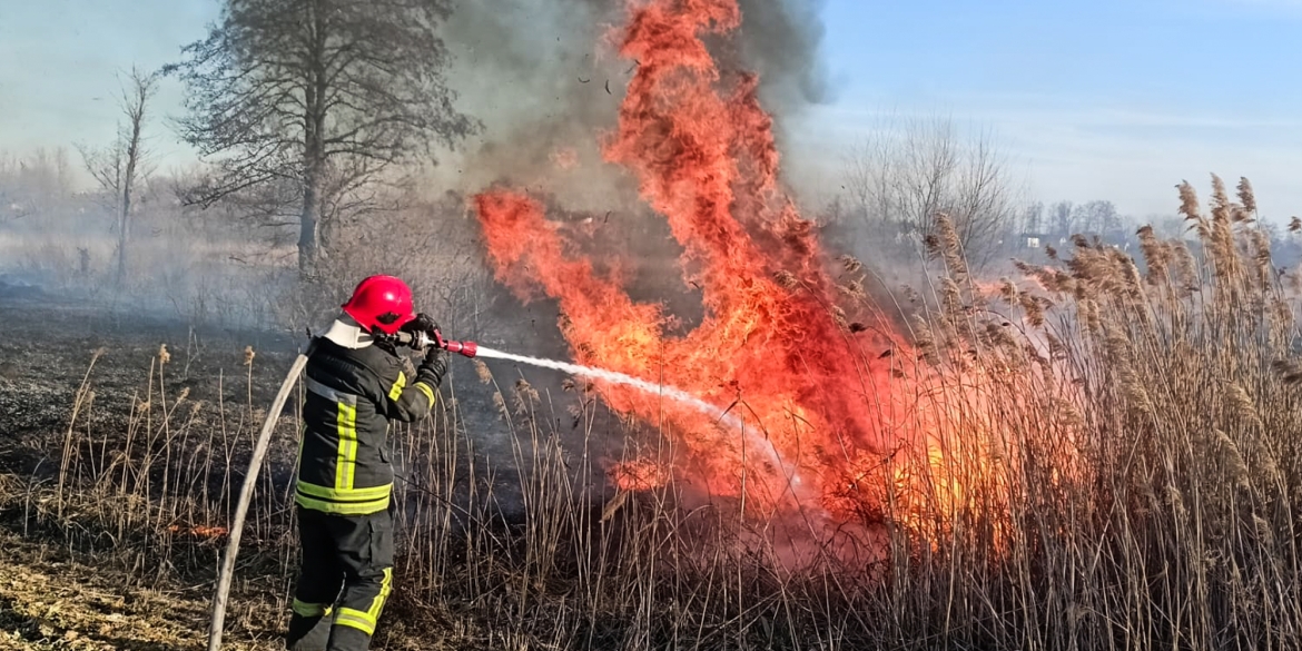 На Вінниччині протягом доби вогонь обпалив землю на площі у понад 46 гектарів