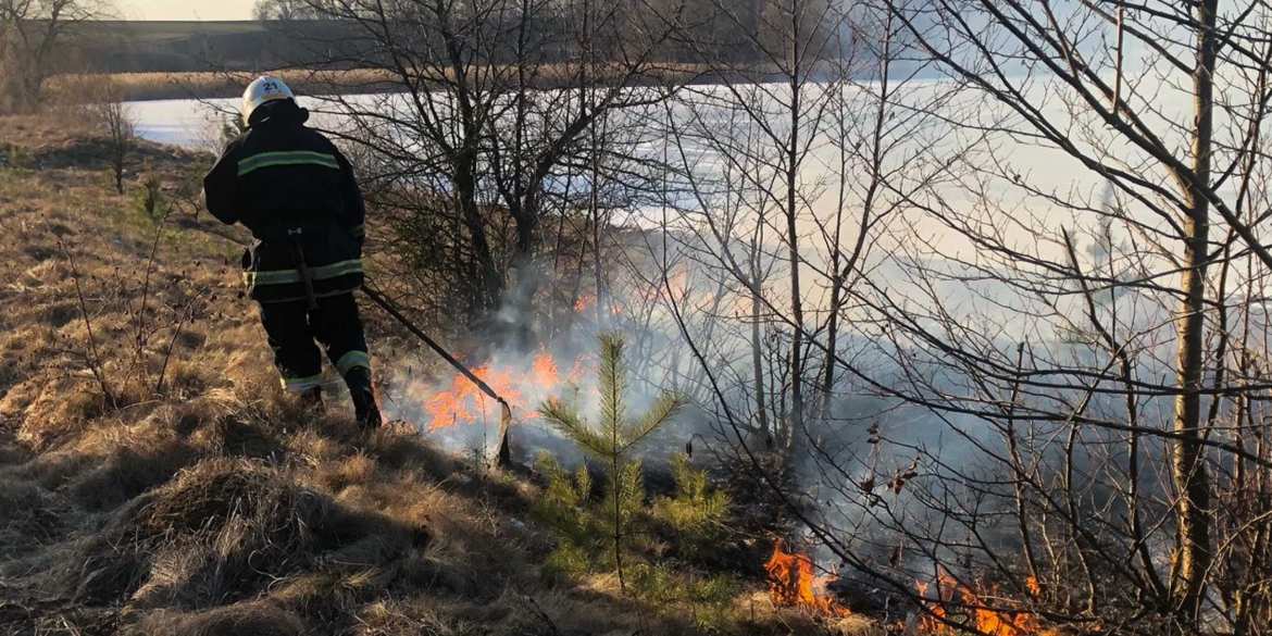 На Вінниччині зафіксували антирекорд з кількості пожеж в екосистемах з початку року