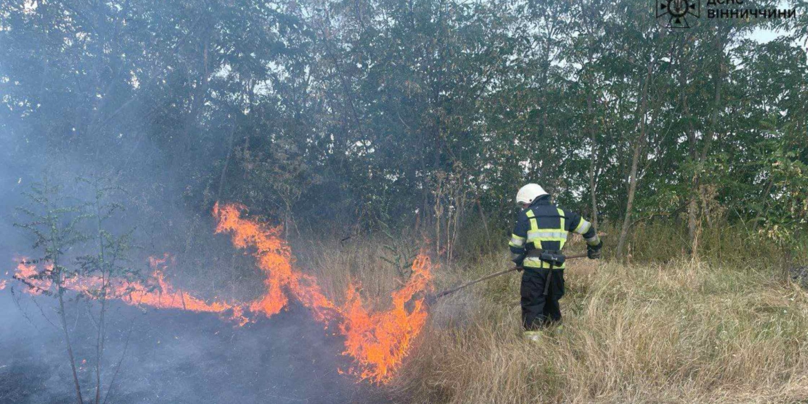 Обпалено понад 14 гектарів землі на Вінничині надзвичайники ліквідували 13 загорянь