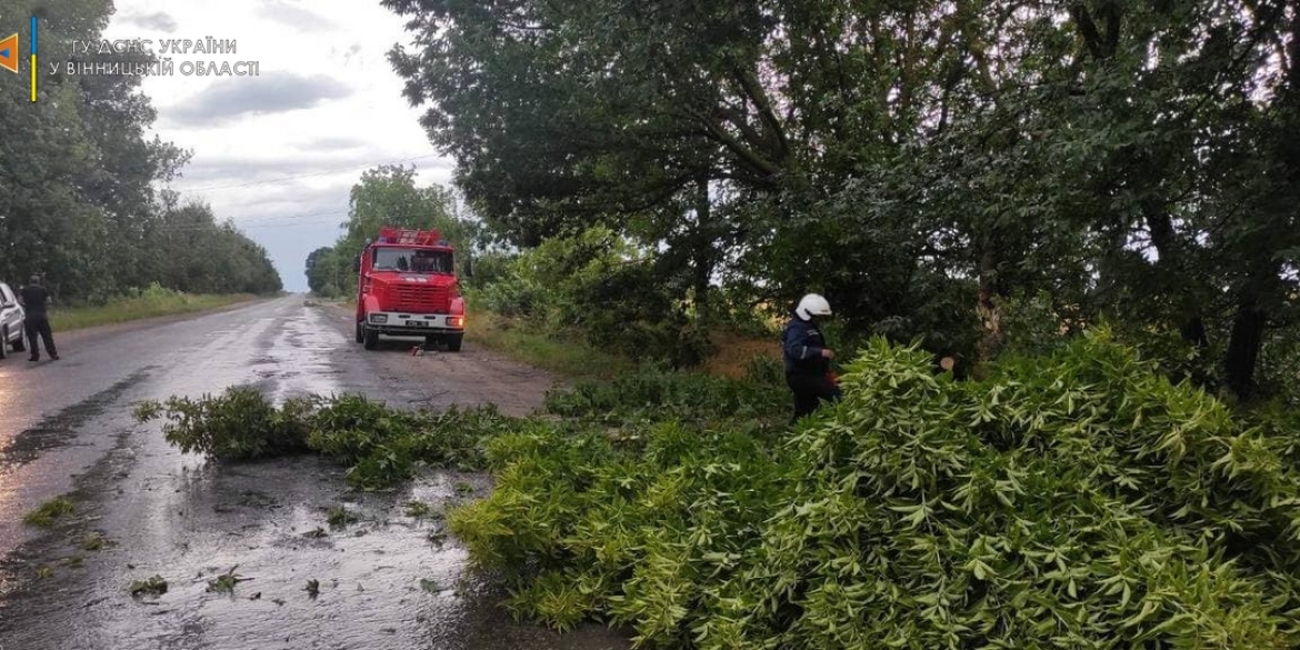 Минулої доби вітер повалив дерева на дороги в чотирьох районах Вінниччини