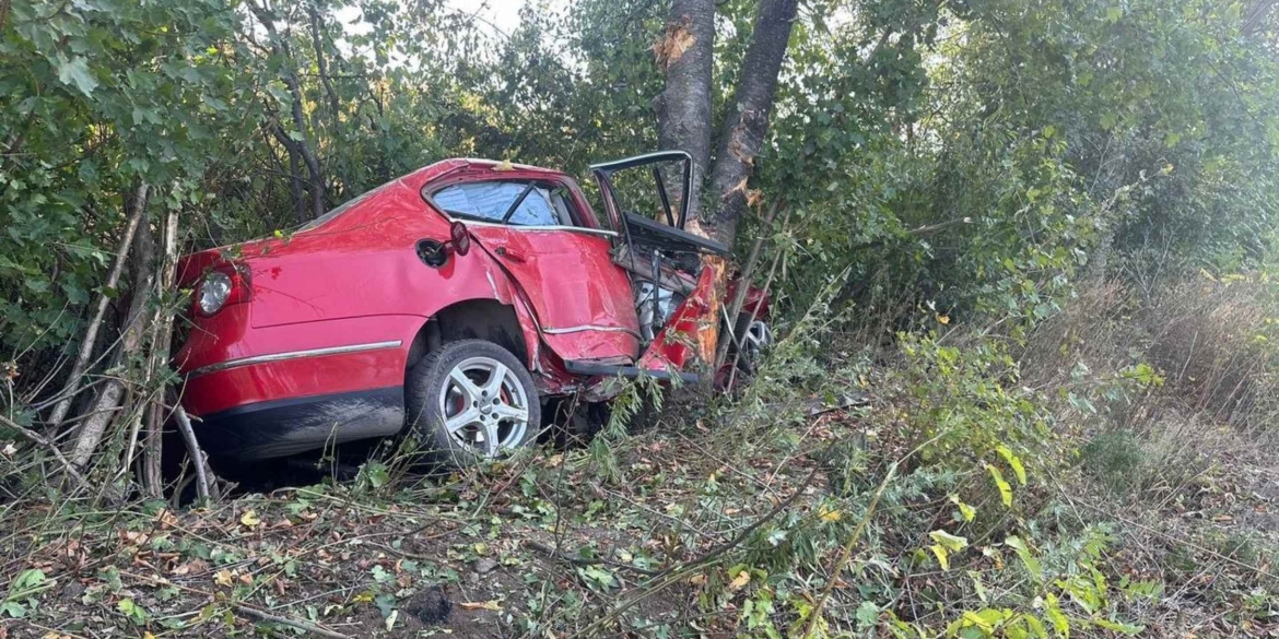 Під Бершаддю Volkswagen в'їхав у дерево - загинули водій і пасажирка