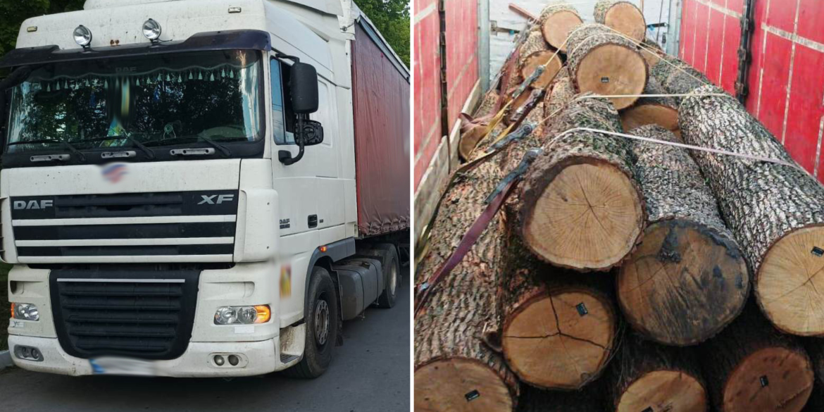 Під Вінницею зупинили вантажівку з незаконно спиляними дубовими стовбурами