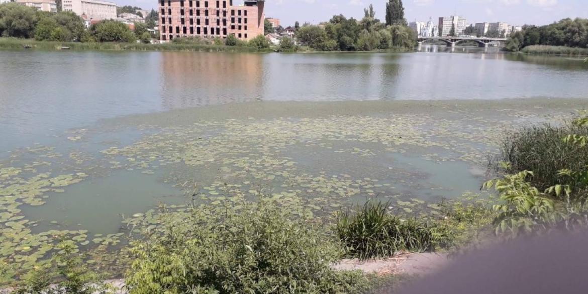 Південний Буг на Старому місті у Вінниці вкрився плямами: що кажуть екологи