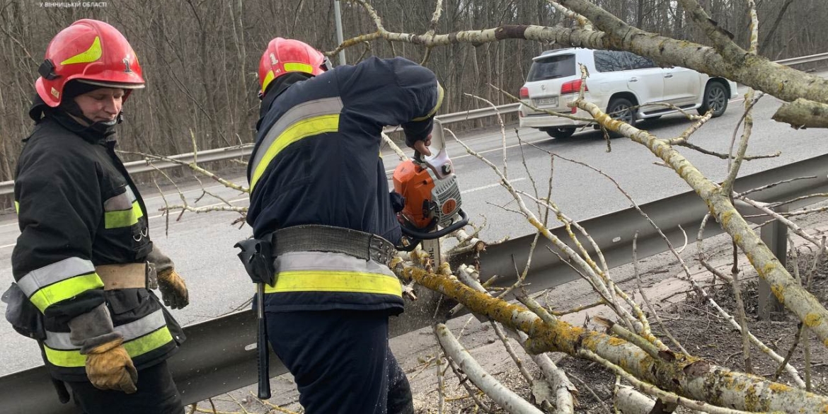 Поблизу Вінниці сильний вітер повалив дерева на дорогу