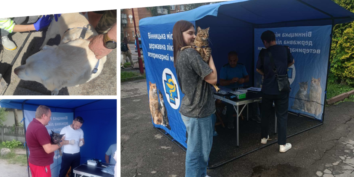 Понад 3 тисячі домашніх тварин щепили проти сказу у приватному секторі Вінниці