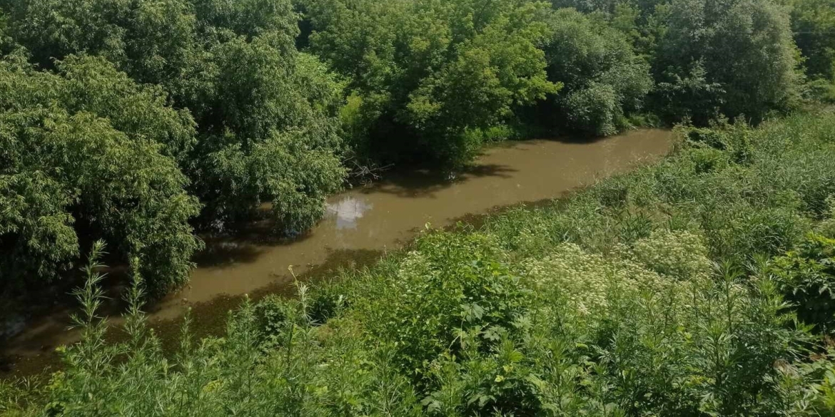 Річку Мурафа на Вінниччині забруднювали відходами з підприємства 