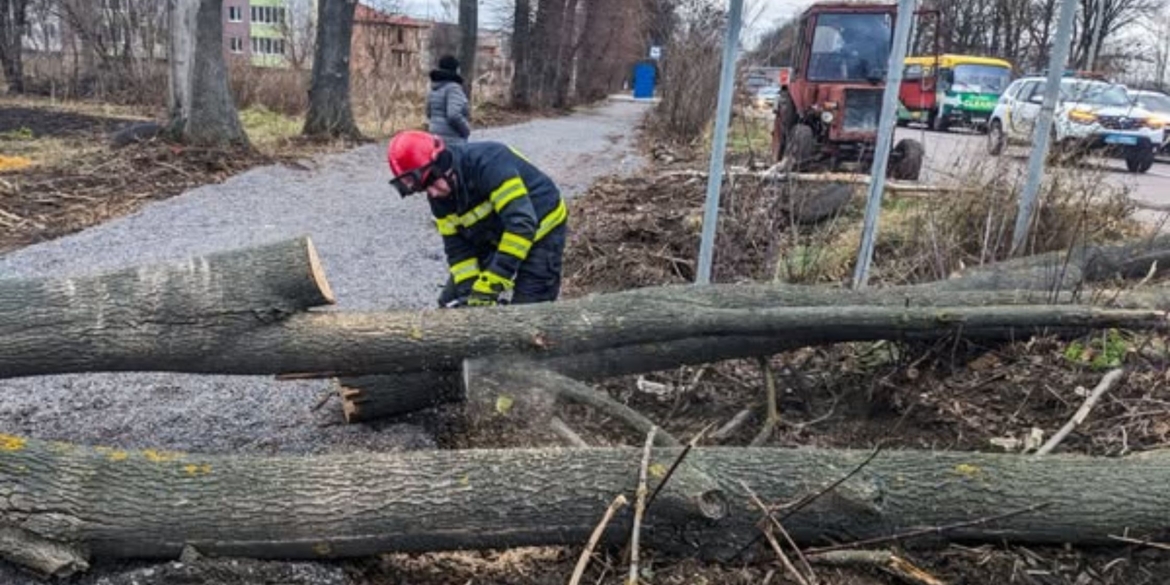 Розкряжували десять повалених дерев, які заблокували автошляхи на Вінниччині